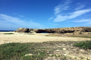 Aruba Tours From Cruise Ships