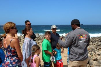 Private Tours in Aruba