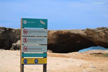 Wariruri Beach Aruba
