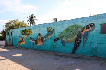 Best Aruba Art Tour