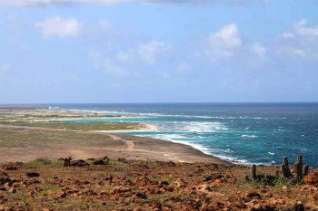 Best Beaches Tour in Aruba