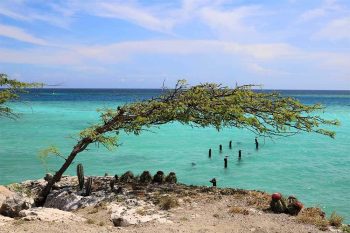 Reason to Visit Aruba for Island Tour