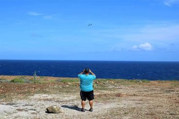 Sight seeing Tours in Aruba